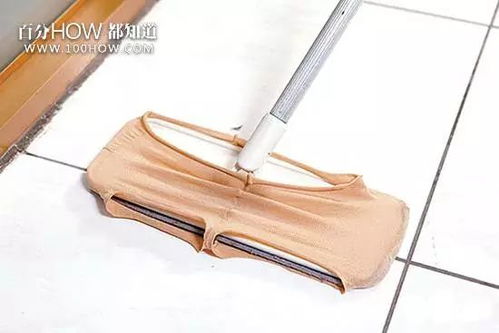 家有寵物的快收藏 教你快速清理寵物的毛發(fā)